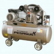 Máy nén khí Pegasus TM-V-0.25/12.5-180L (3HP) 220V